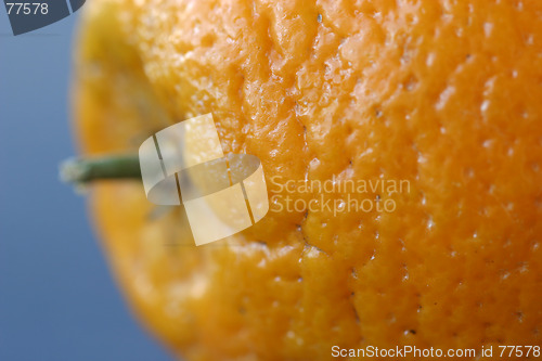 Image of Orange