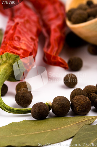 Image of spices and wooden spoon