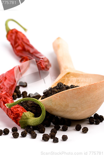 Image of spices and wooden spoon