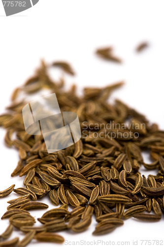 Image of cumin seeds