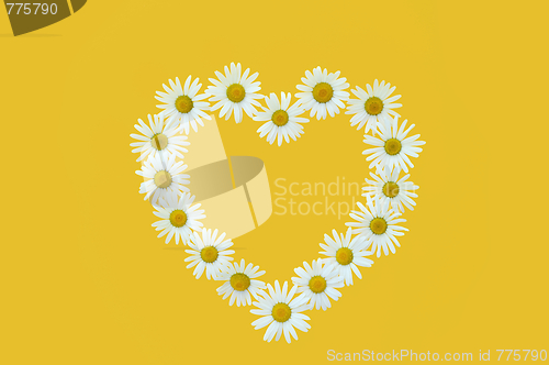 Image of Daisy in love shape over yellow background