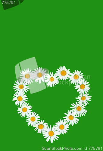 Image of Daisy in love shape over green background