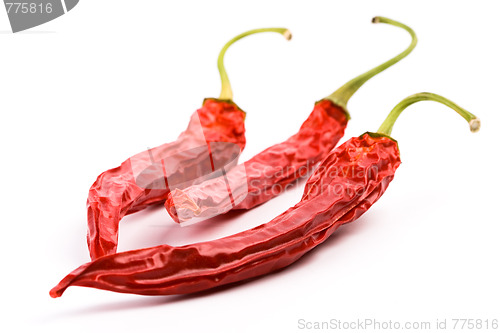 Image of three dry red chilly peppers