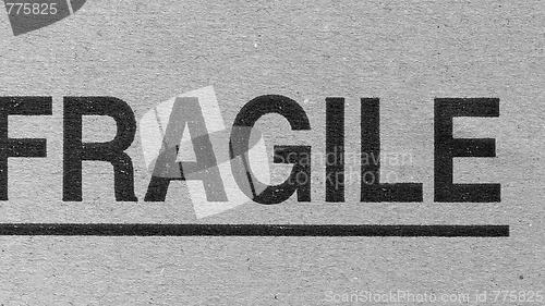 Image of Fragile