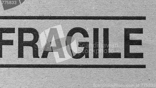 Image of Fragile