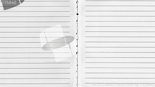 Image of Blank notebook page