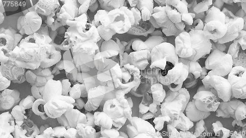 Image of Pop Corn