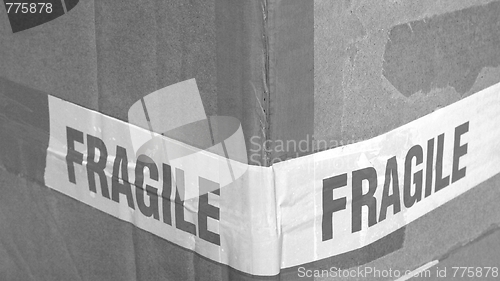 Image of Fragile