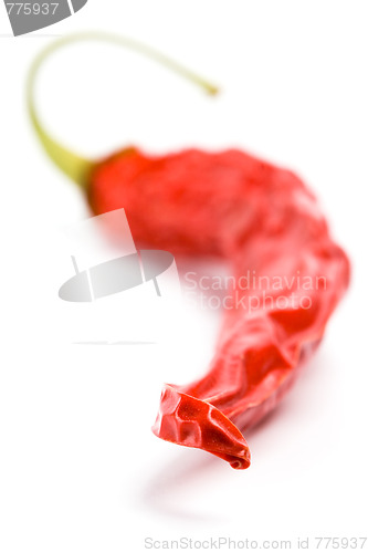 Image of dry red chilly pepper