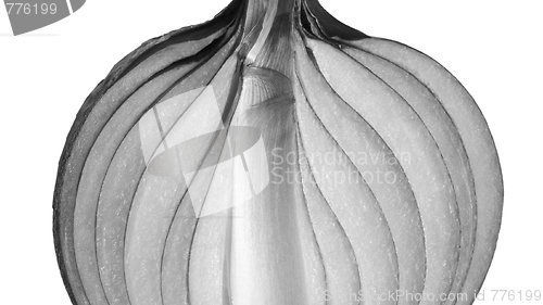 Image of Onion