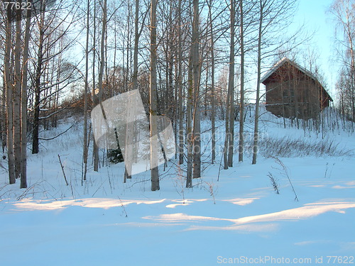 Image of Snow