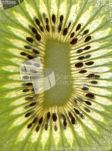 Image of kiwi background