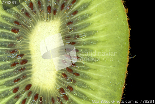 Image of kiwi background