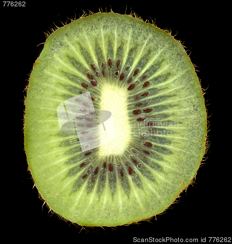 Image of kiwi background