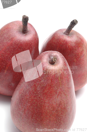 Image of anjou pear group