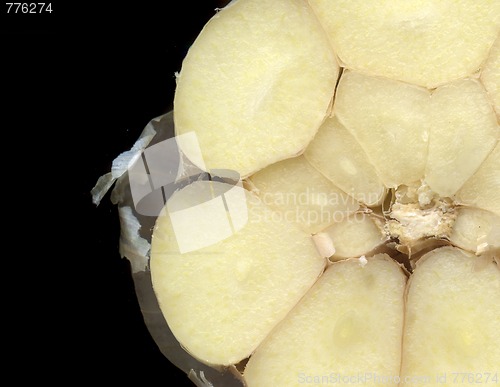 Image of garlic background