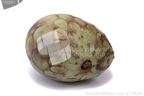 Image of exotic cherimoya fruit 