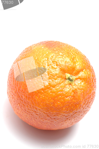 Image of blood orange on white
