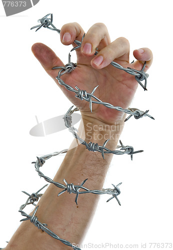 Image of hand holding a barbed wire