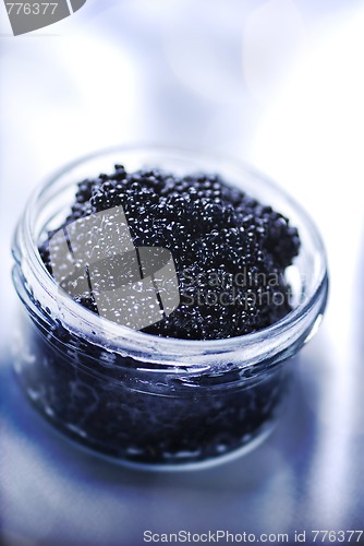 Image of Black caviar