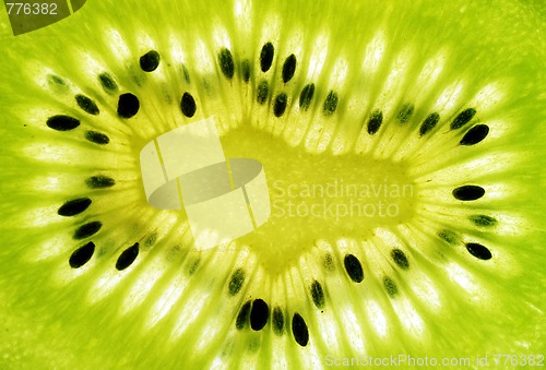 Image of kiwi