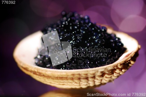 Image of Black caviar 
