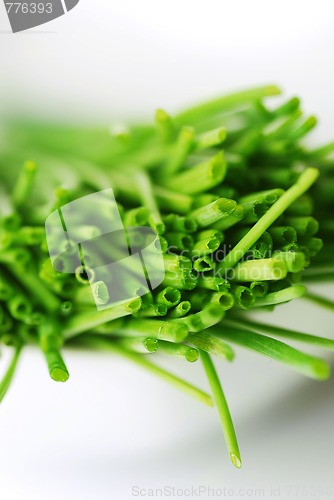 Image of fresh chives