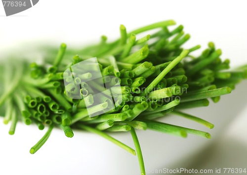 Image of fresh chives