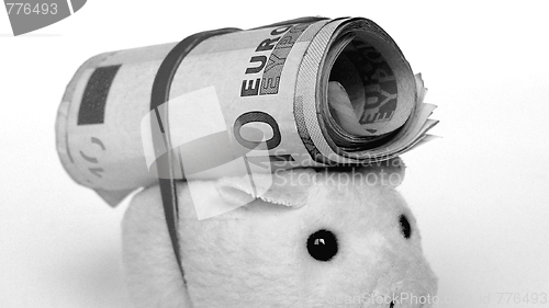 Image of Pig with money