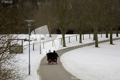 Image of Winter in the park