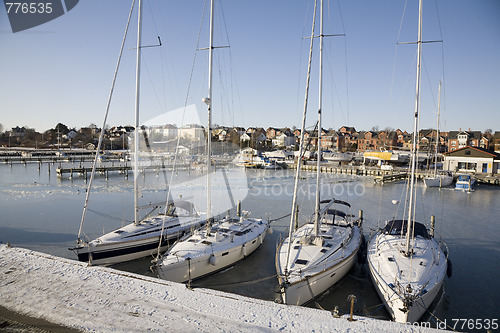 Image of Winter morning