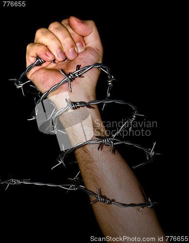 Image of hand holding a barbed wire