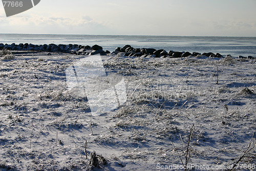 Image of winter at sea