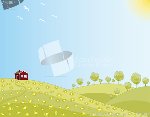 Image of Little house in a spring field