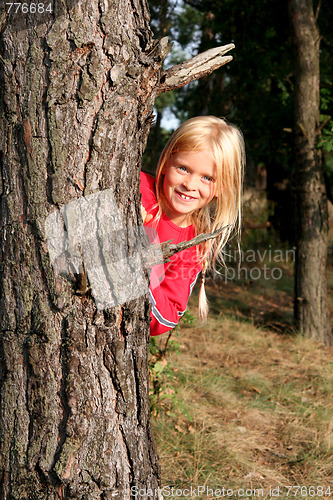 Image of In the forest