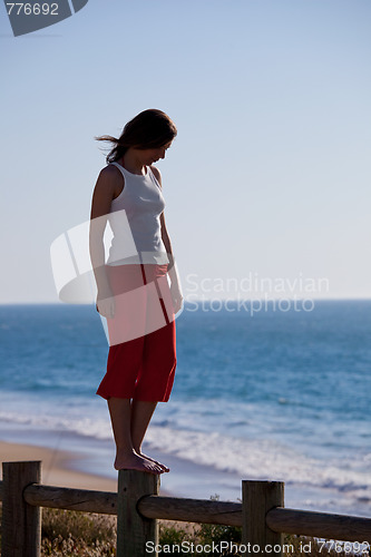 Image of Walking on a wood fence