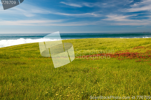 Image of Beautiful green field