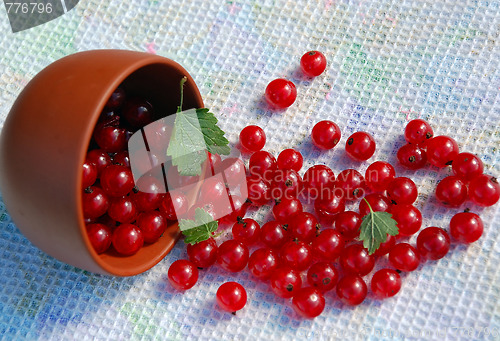 Image of Red Currant And The Bowl On The Towel