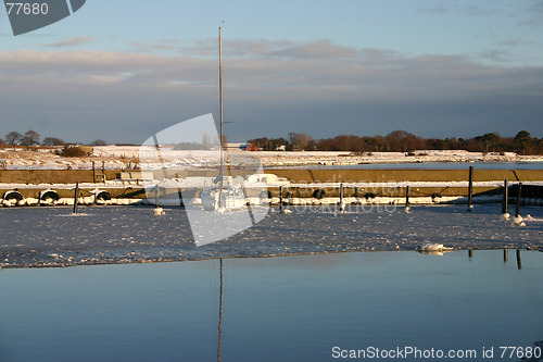 Image of frozen harbour