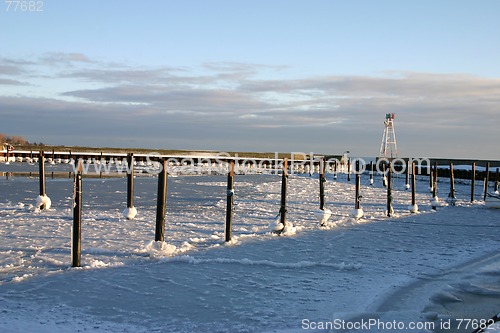 Image of frozen harbour