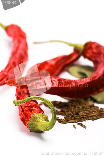 Image of pimento, caraway and bay leaves