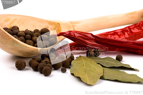 Image of spices