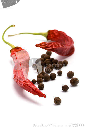 Image of aromatic pepper and pimento