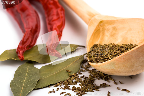 Image of pimento, caraway and bay leaves