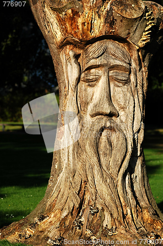 Image of wooden tree sculpture