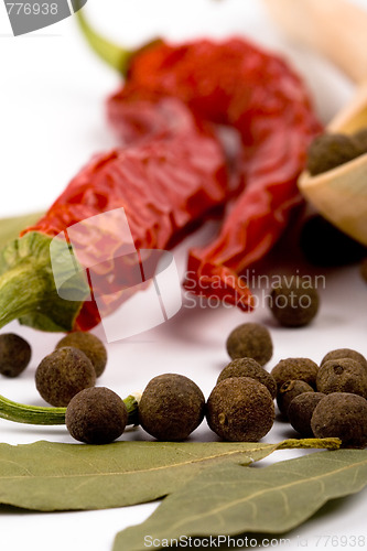 Image of spices: bay leaves, pepper, pimento