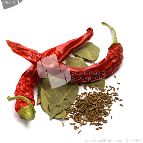 Image of pimento, caraway and bay leaves