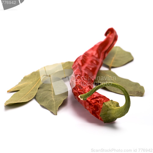 Image of pimento and bay leaves