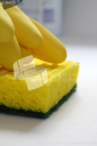 Image of Sponge and rubber gloves