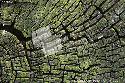 Image of wood texture